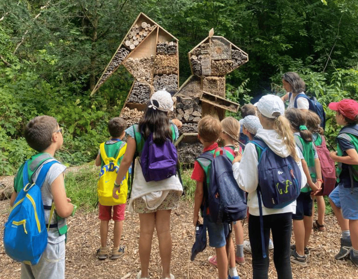atelier péri-scolaire - écologie