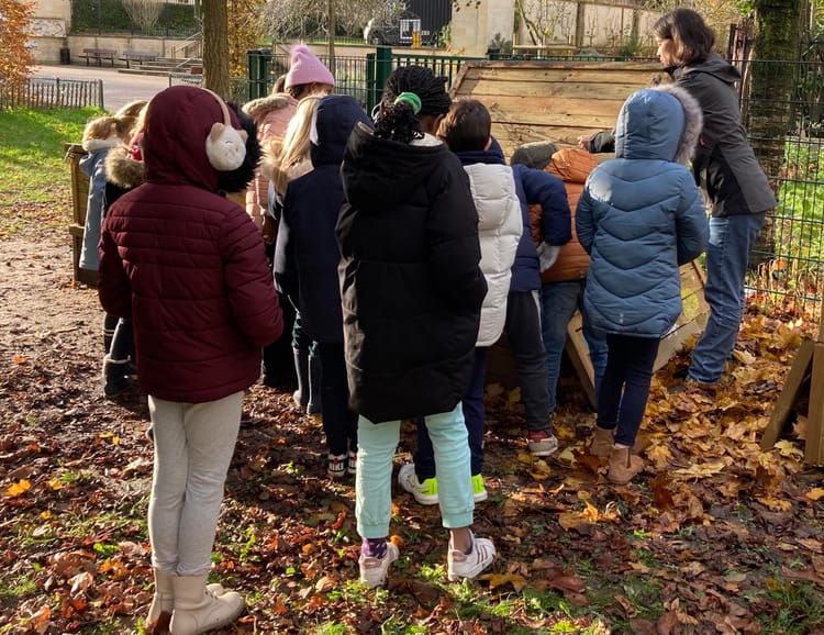 Enfant qui apprennent l'écologie