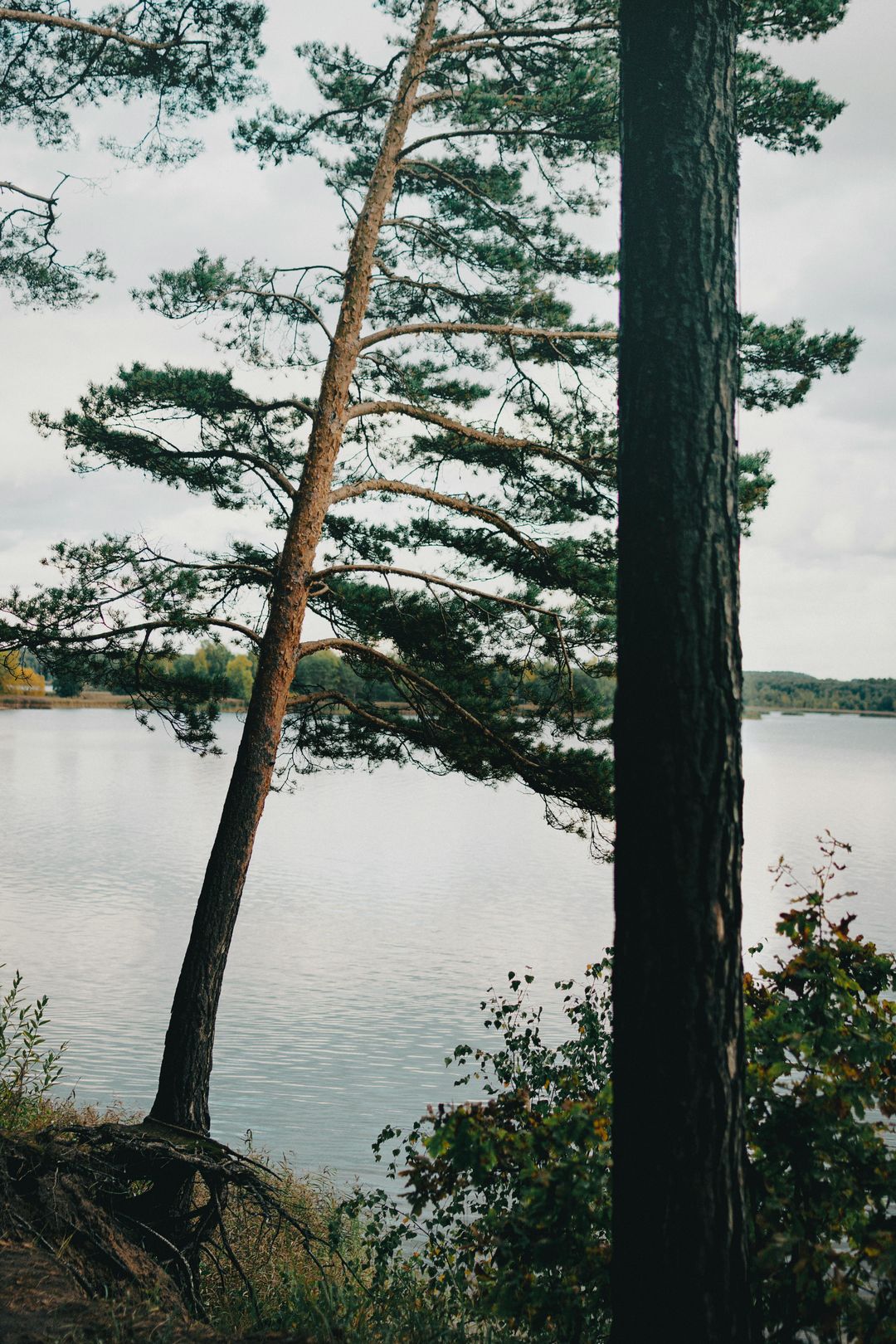 Beautiful landscape picture